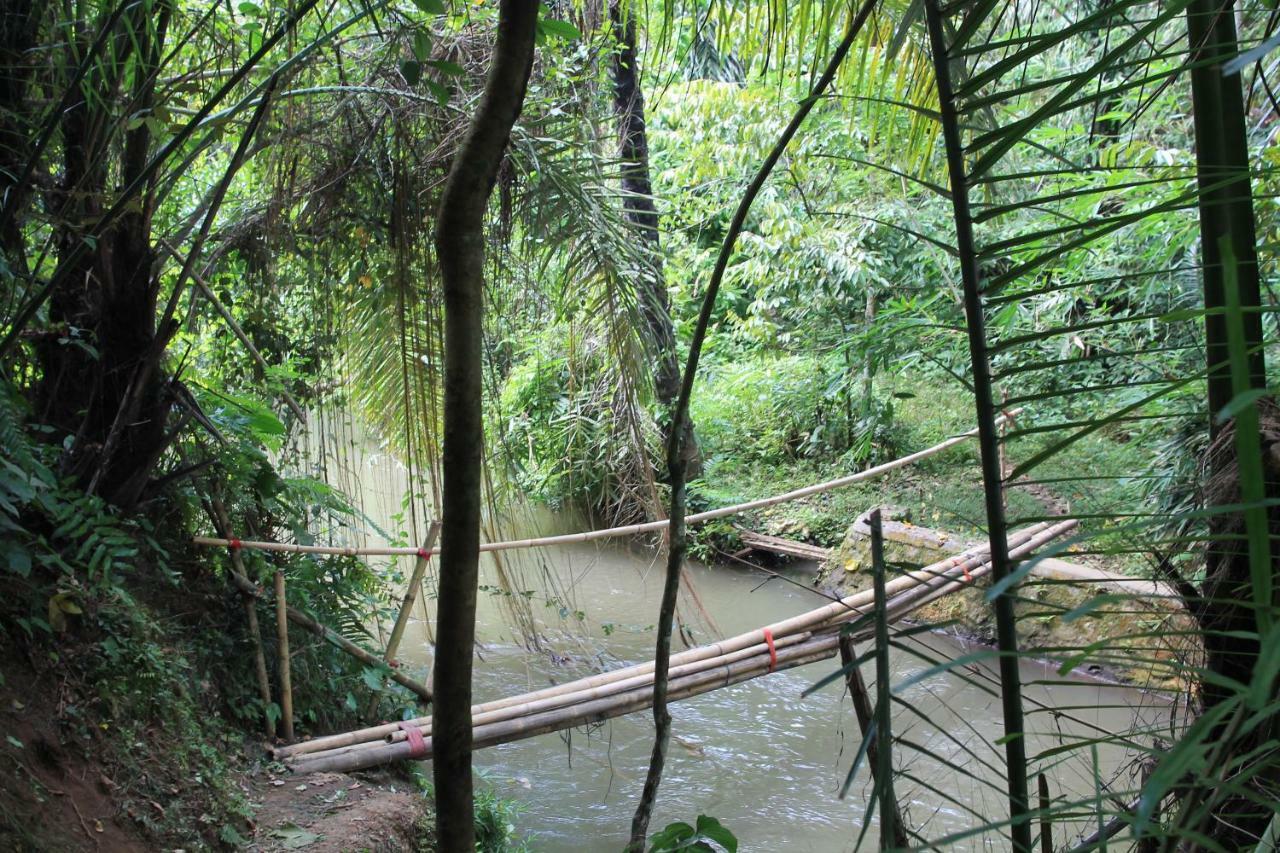 Villa Sindu Ubud Екстериор снимка